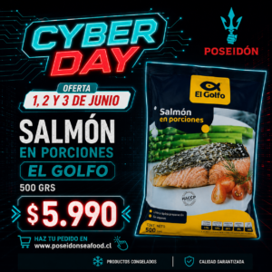 Salmón trozo con piel congelado 500GR - Cyber Day