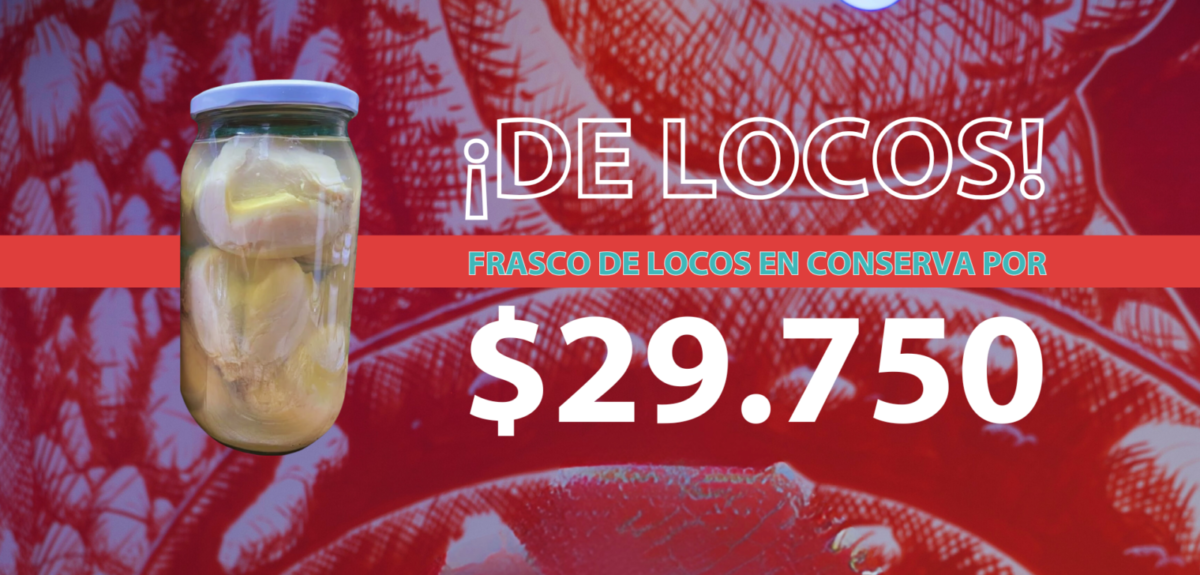 Oferta Locos en Conserva a Domicilio Santiago
