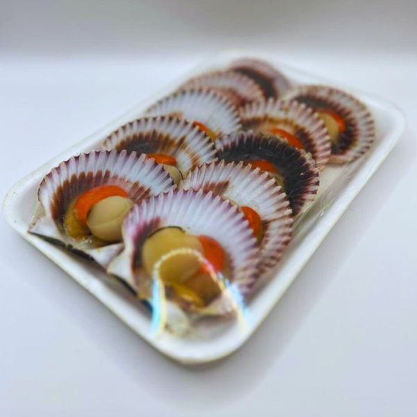 ostiones 1/2 concha bandeja ostiones en media concha para horno ostiones parmesanos preparación ostiones en concha listos para cocinar