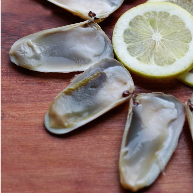 machas media concha 12u